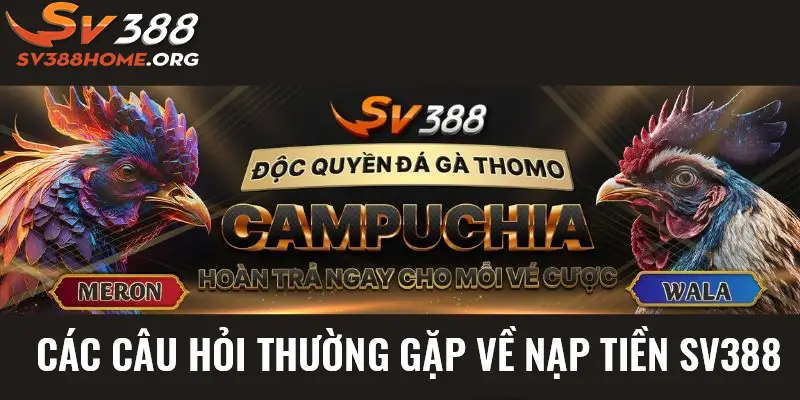 FAQs - Các câu hỏi thường gặp về nạp tiền sv388