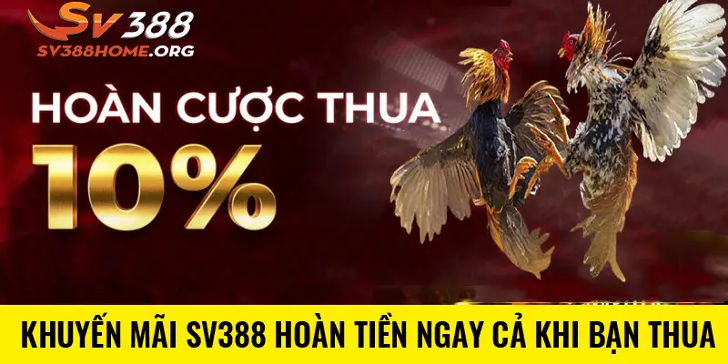 Khuyến mãi SV388 hoàn tiền ngay cả khi bạn thua