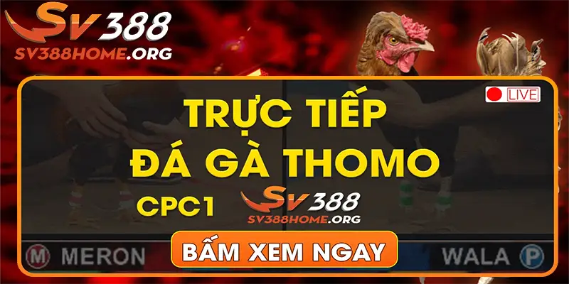 đá gà cpc1 sv388